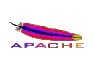 Servidor APACHE